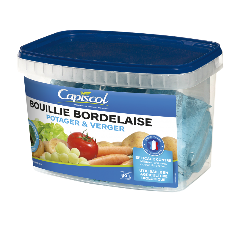 BOUILLIE BORDELAISE BOITE 16 x 31,25G