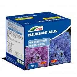 BLEUISSANT HORTENSIA ALUN...