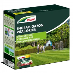 ENGRAIS GAZON VITAL GREEN 3KG