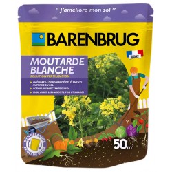MOUTARDE BLANCHE 250GR