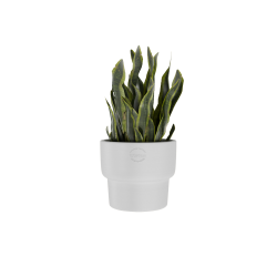 CACHE-POT ECHO HAUT 20CM BLANC