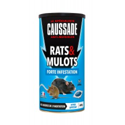 RATS ET MULOTS PATE FORTE...