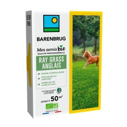 RAY GRASS ANGLAIS BIO 250G