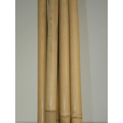 TUTEUR BAMBOU 1.8M (UNITE)