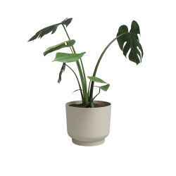POT MIAMI 18 MA CREME