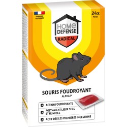 RATS & SOURIS PATES 150G